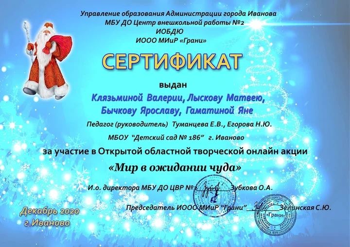 Сертификат Сотвори новогоднее чудо